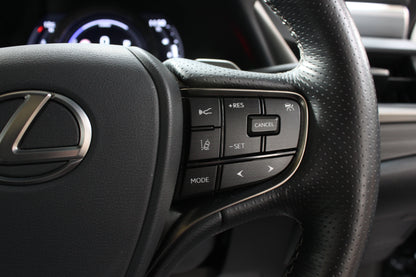 Lexus ES 300h 2.5 F-Sport 4dr CVT
