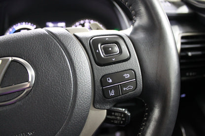 Lexus NX 300 Premium Sport Edition