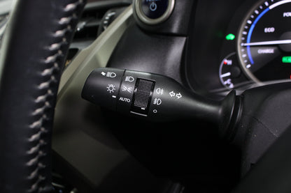 Lexus NX 300 Premium Sport Edition